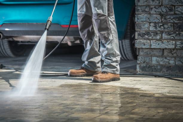 Best Gutter Cleaning  in San Elizario, TX