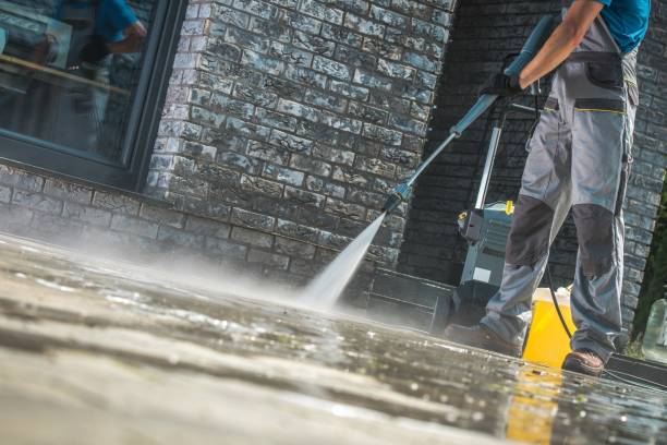 Best Soft Washing  in San Elizario, TX