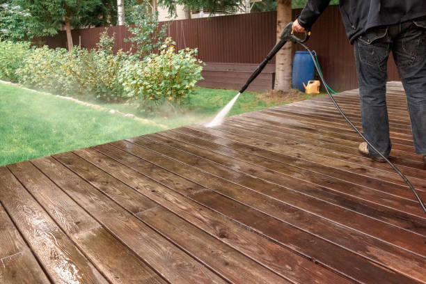 Best Sidewalk and Walkway Cleaning  in San Elizario, TX